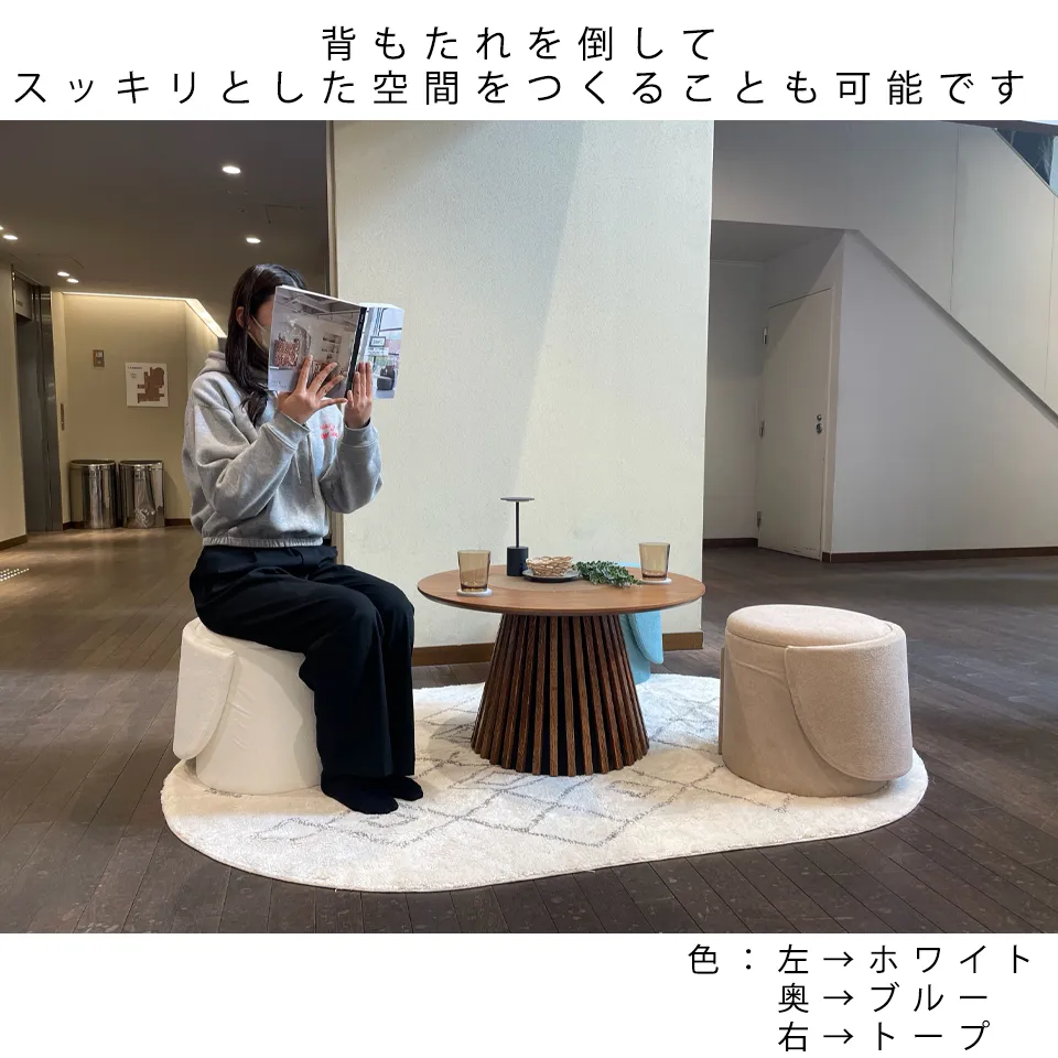 チェアHS15ストレージグリーン - 14